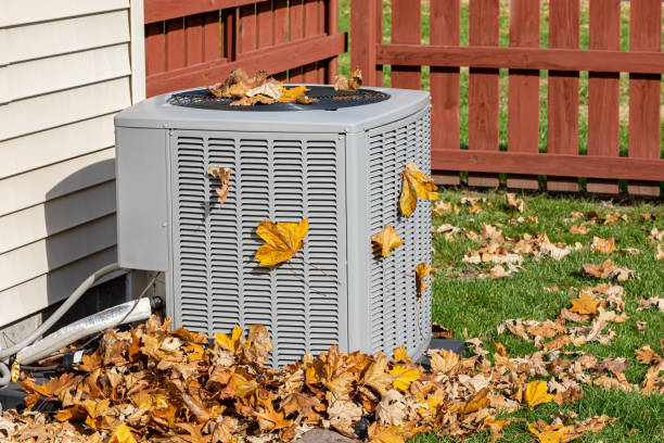Best HVAC Tune-Up Services  in Naples Park, FL